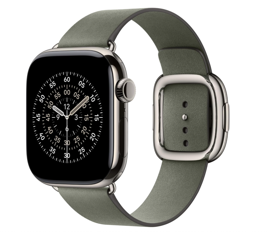 ML3W4 42mm Sage Modern Buckle - Small