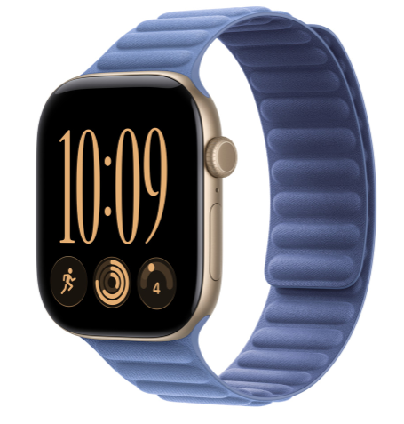 MKRQ4 46mm Wildflower Blue Magnetic Link - S/M
