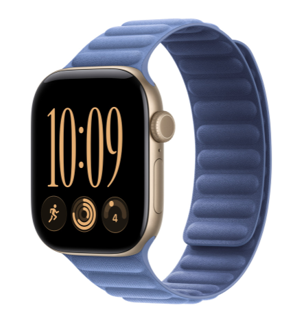 MKRF4 42mm Wildflower Blue Magnetic Link - M/L