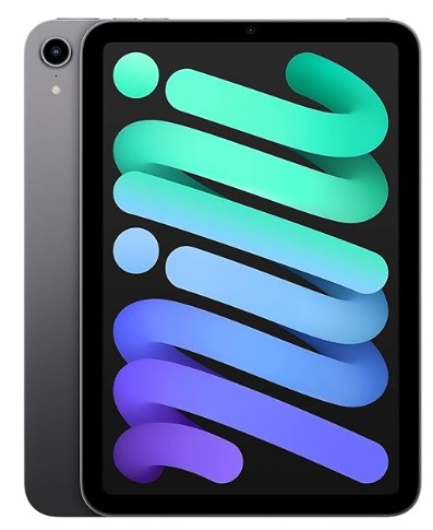 iPad mini7 Wi-Fi + Cellular 512GB - Space Grey