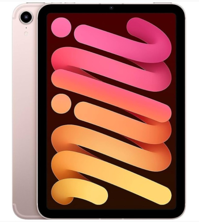 iPad mini 6 Wi-Fi 64GB - Pink